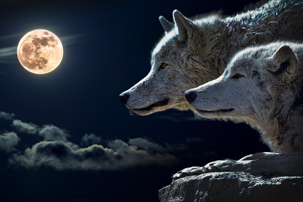 Eating Disorder Recovery - False Self vs True Self